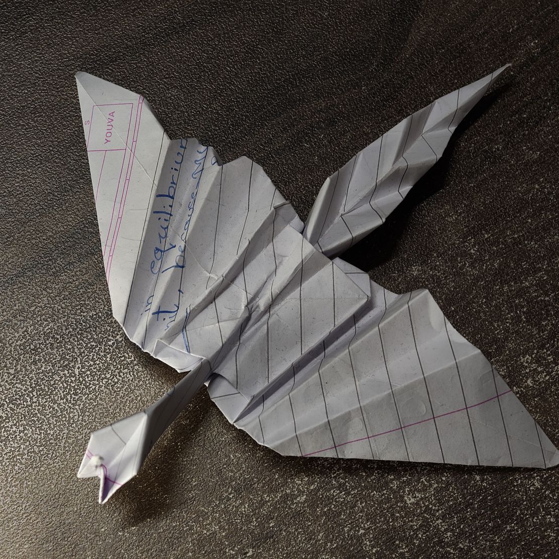 The Midnight Paper Dragon - Image 1